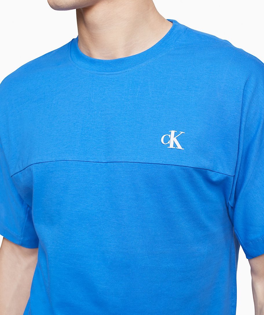 Calvin Klein Color Relaxed Fit Standard Logo Printed Crewneck T-Shirt