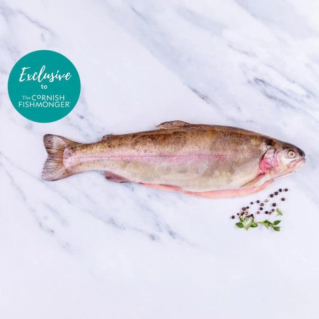 Trout (Rainbow)