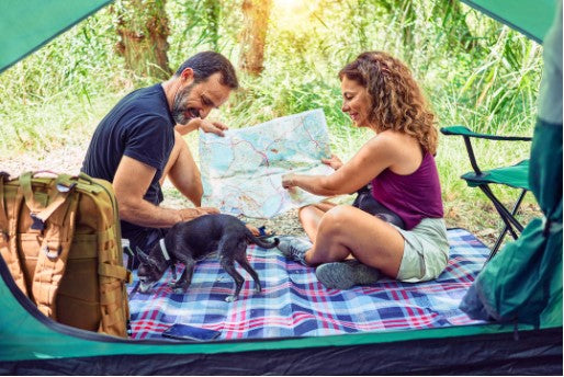 Couple sitting outside a tent reading a map