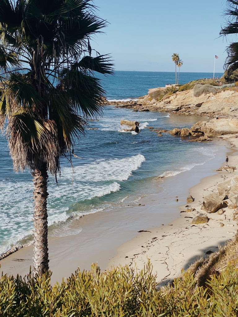 Laguna Beach ocean view