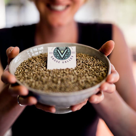 Vasse Valley hemp sustainability Hemp seeds