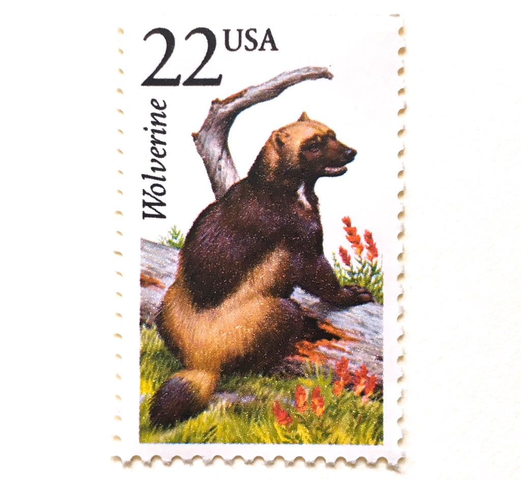 Postage Stamp Prairie Postcard - Center For Urban Habitats