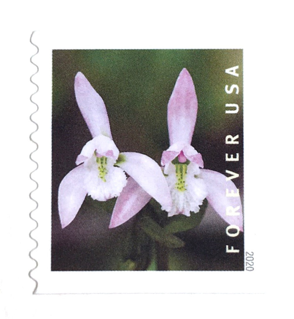 SCOTT #4520 Pack of 70 Genuine Forever stamps WEDDING ROSES Mint