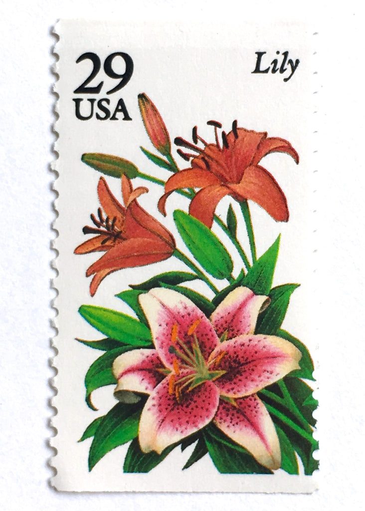 10 Pink Lily Flower Stamps Vintage Unused Garden Bouquet Postage