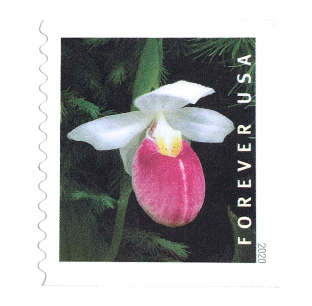 10 Pink Botanical Forever Stamps Unused Postage Vintage Burgundy