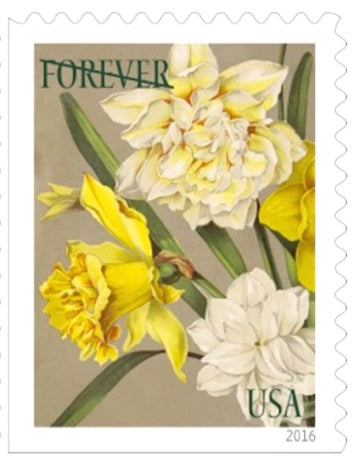 10 Peony Botanical Forever Postage Stamps Unused Vintage White and Pin –  Edelweiss Post