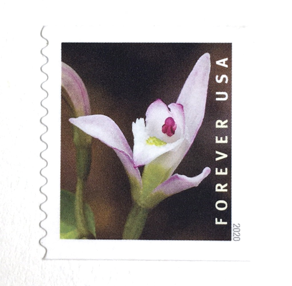 10 Pink Botanical Forever Stamps Unused Postage Vintage Burgundy Flora –  Edelweiss Post