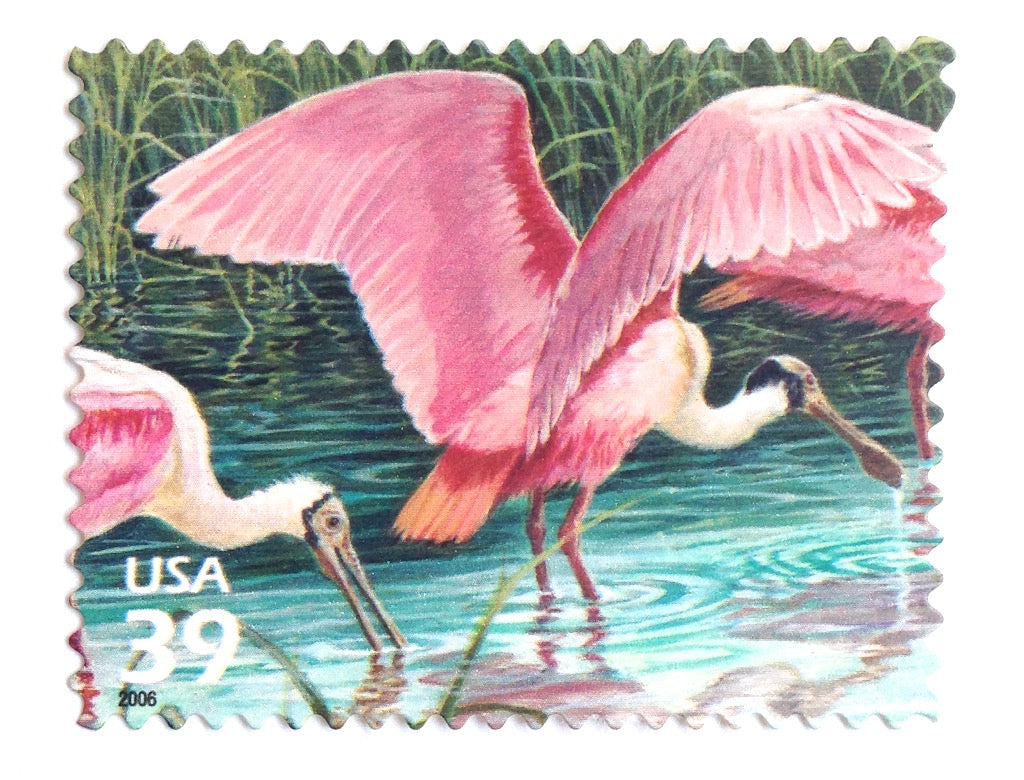 US 4995 Coastal Birds Spoonbill postcard rate coil single (1 stamp