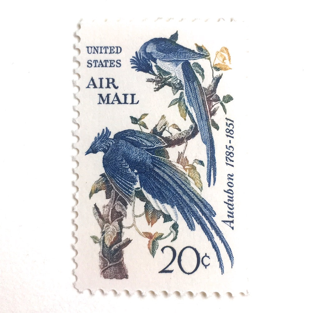 Blue Jay Bird Rubber Stamp Save 25%