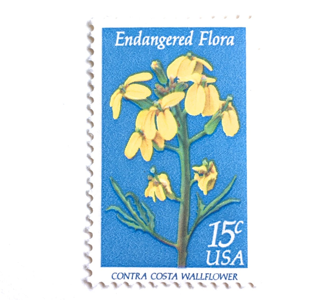 10 Lemon Stamps Unused 2 Cent Lemon Citrus Postage Stamps For Mailing –  Edelweiss Post