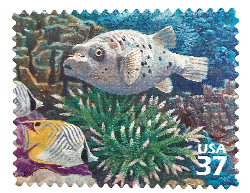8 PCS Zaire Post Stamps,1980, Tropical Fish Stamps,Animal Stamps,Used with  Post Stamp,Real Original - AliExpress