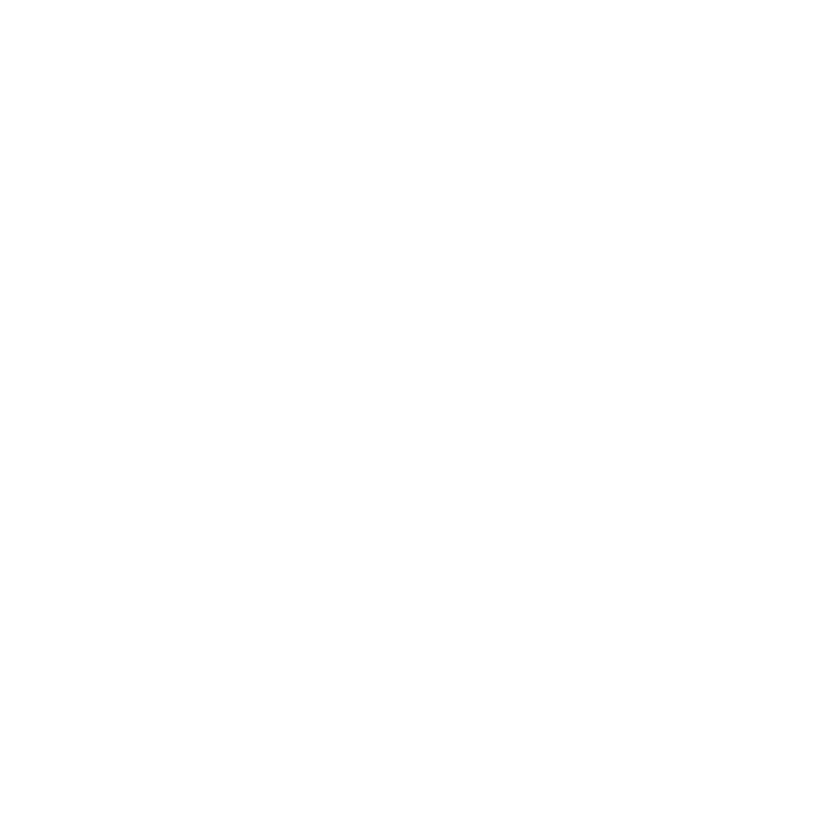 Lifetime Hustler