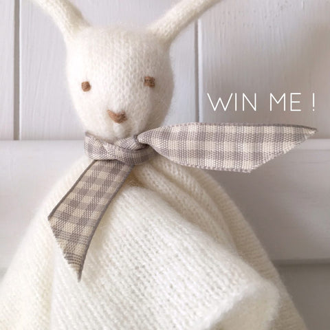 cashmere bunny to win