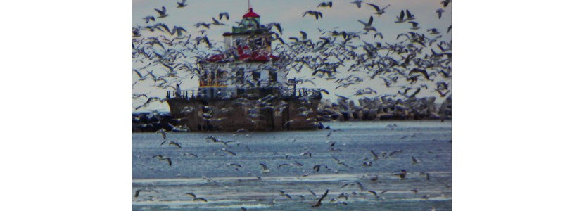 Patrick O’Brien
Lighthouse Camouflage Spring Lighthouse Presented by H Lee White Maritime Museum near Oswego NY