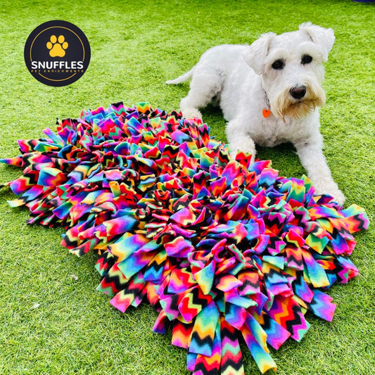 Extra Large 60x60cm Snuffle Mat Fun Enrichment Activity Dog Puzzle Toy Slow  Feeder Scent Work Training Dog & Puppy Gift Ideas 