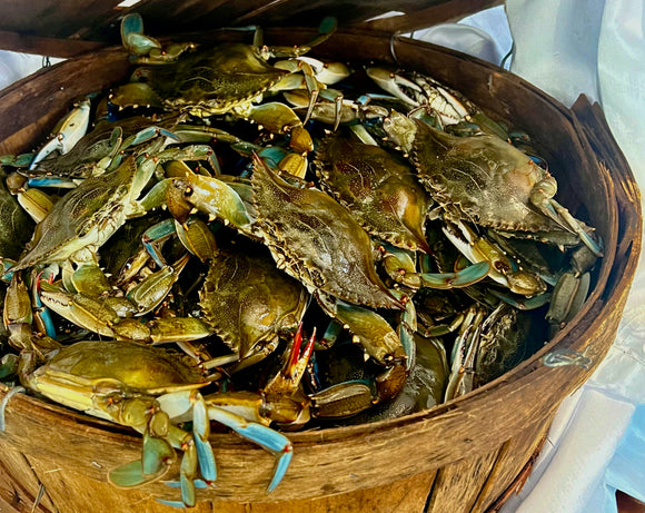 long-island-blue-claw-crabs-wading-river-ny-11792