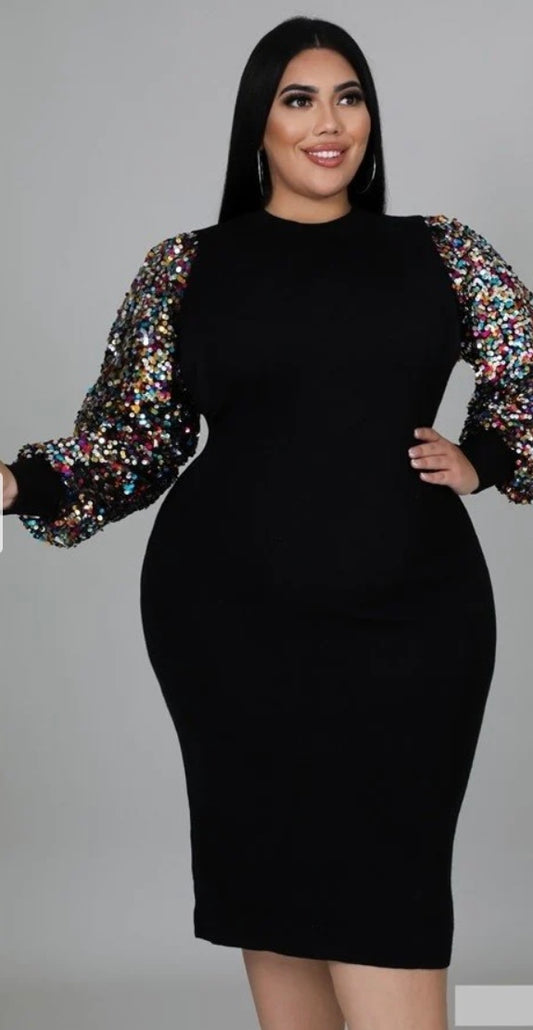 Plus Size Sequin Sleeve Dress