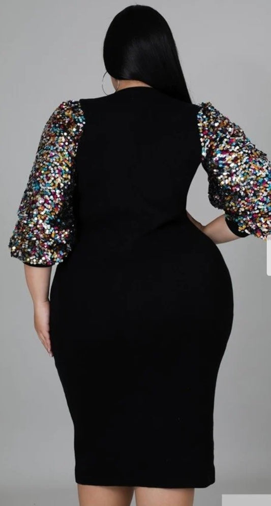 Plus Size Sequin Sleeve Dress