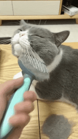 Escova Removedora de pelo de cães e gatos