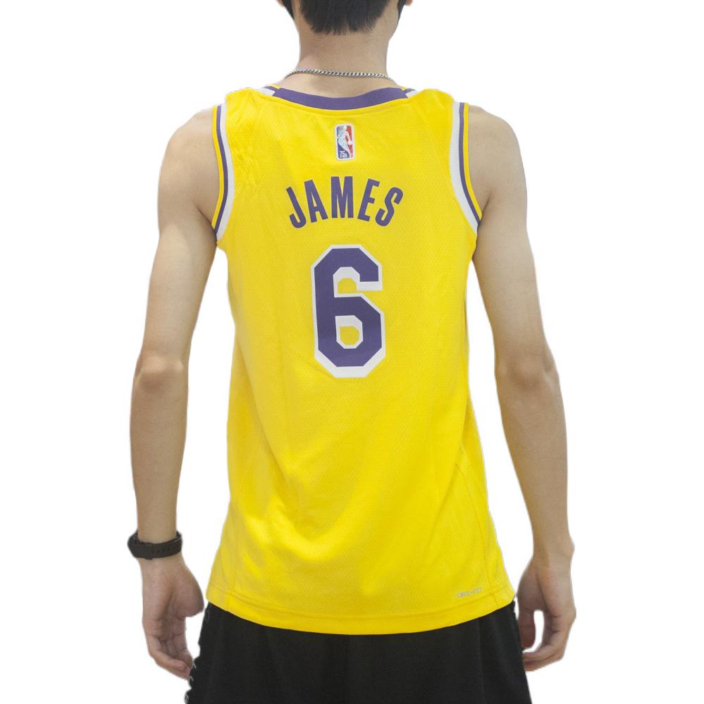 Nike x NBA LA Lakers Jerseys 'LeBron James 6' DB3576-731