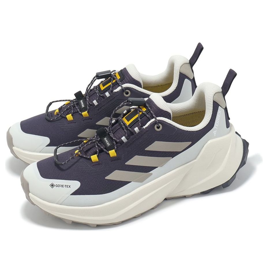 Adidas Originals (wmns) Adidas X National Geographic Terrex Trailmaker 2 Gore-tex 'aurora Black Beige'