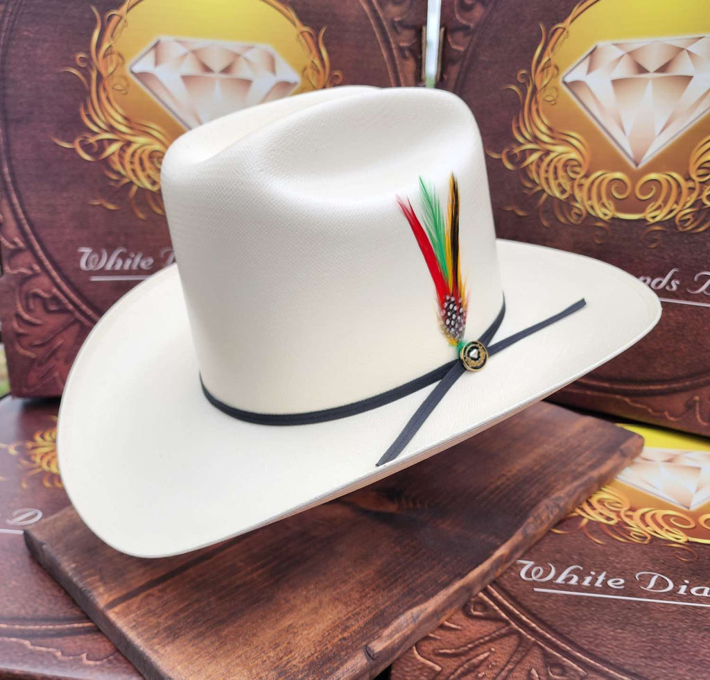 Sombrero 5000X Rancher Copa Alta Ala de 3.5" WD – Plebe Hats