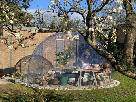 Geodesic_greenhouse