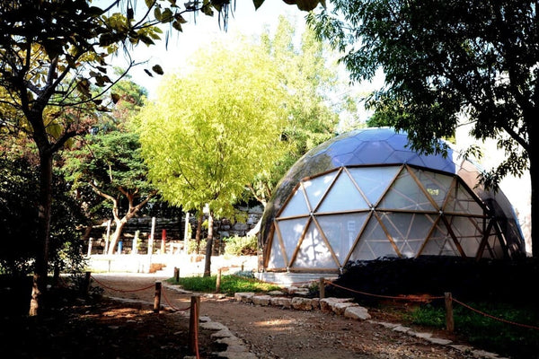 Bespoke Design Dome Structure for Elementary School - Media 3 of 9