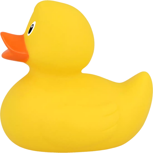 Duck, Original Yellow 3
