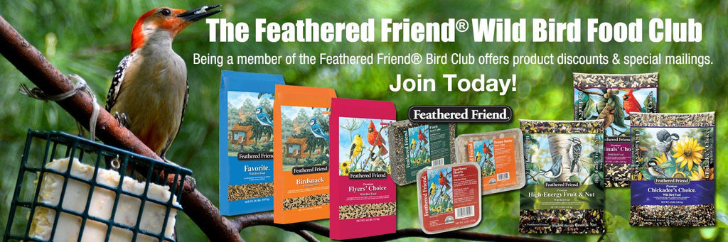 Wild Bird Food Club