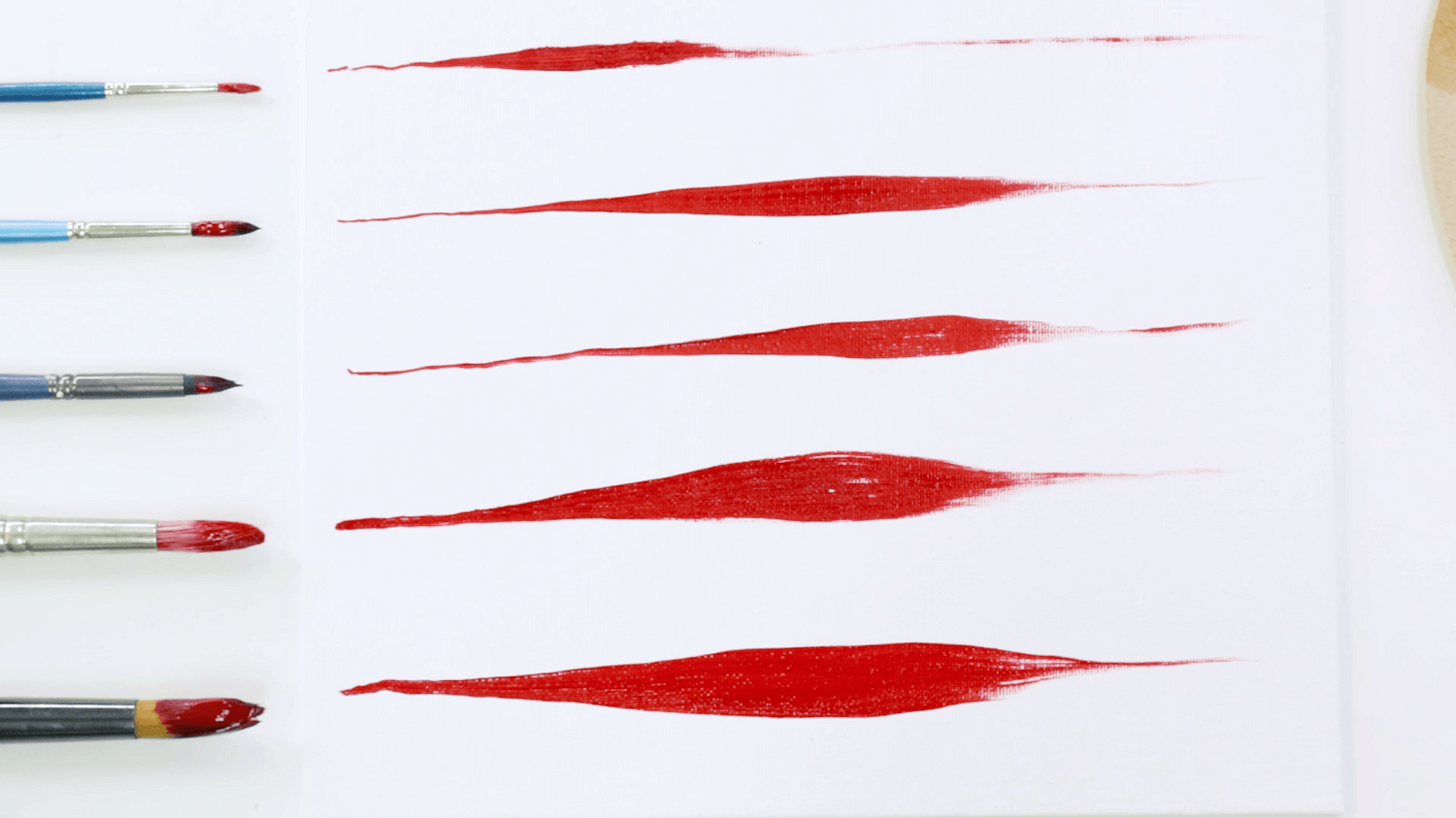 Red paint lines of various round oil paint brushes with the brush next to each paint stroke.