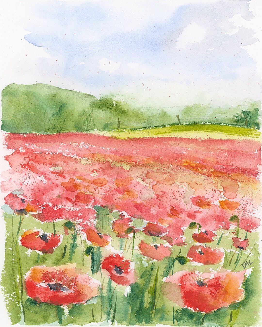 A water colour artwork of a poppy field.