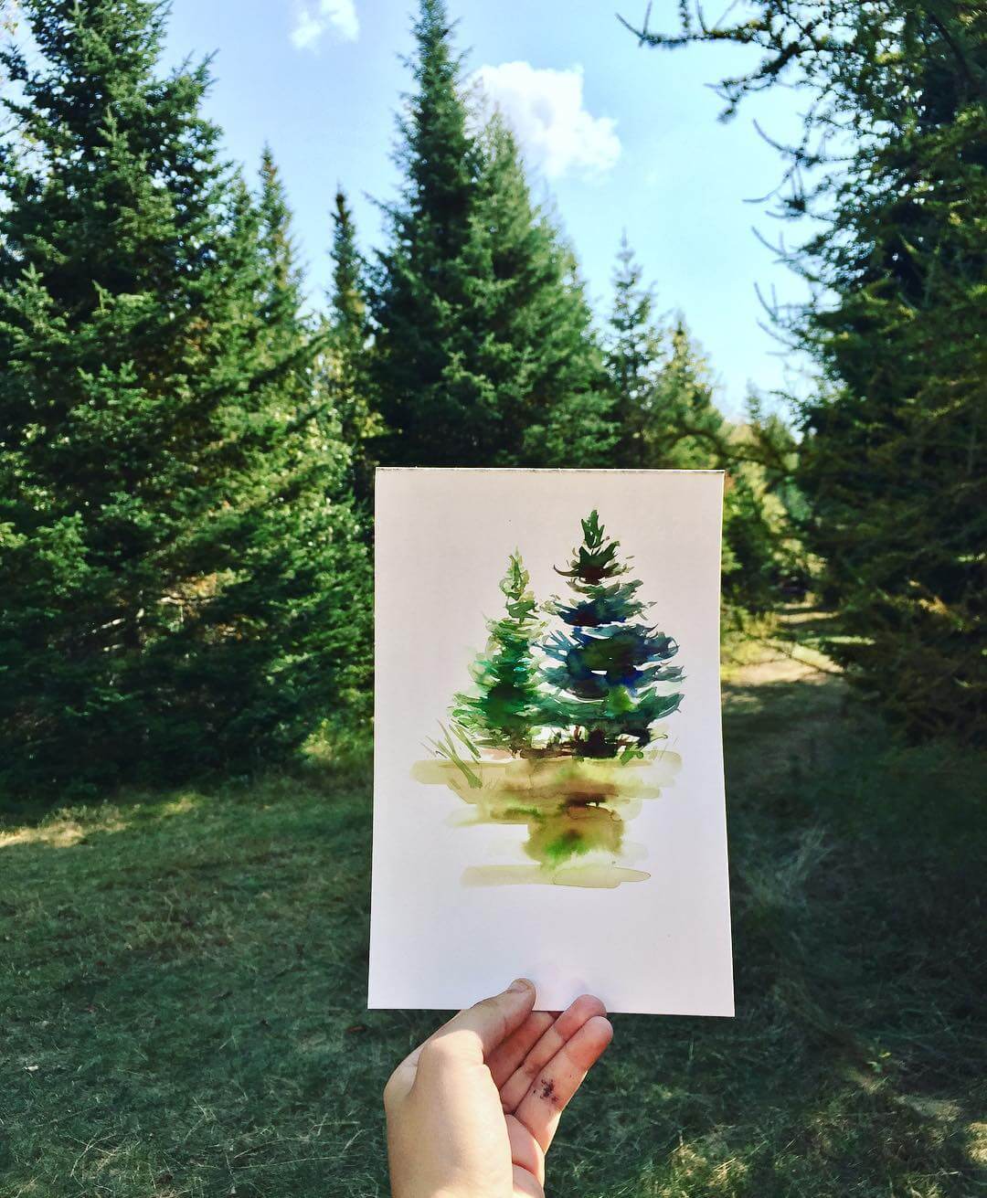 Hand holding a finished artwork of pine trees painted in watercolour, with pine trees visible in the background.