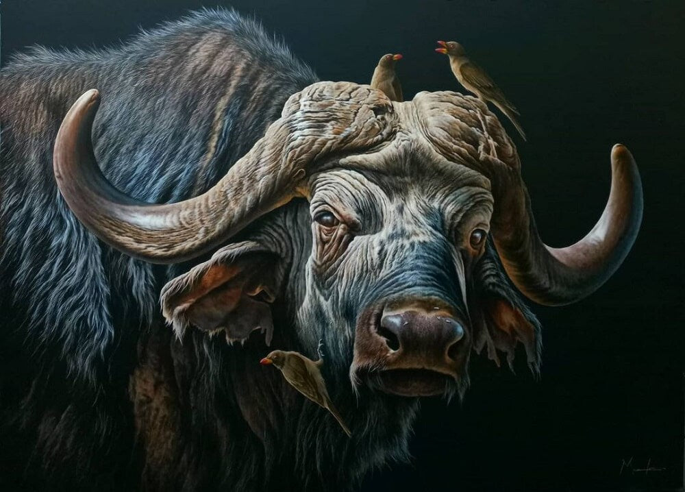 Realistic ox painting with three birds sitting on the ox.