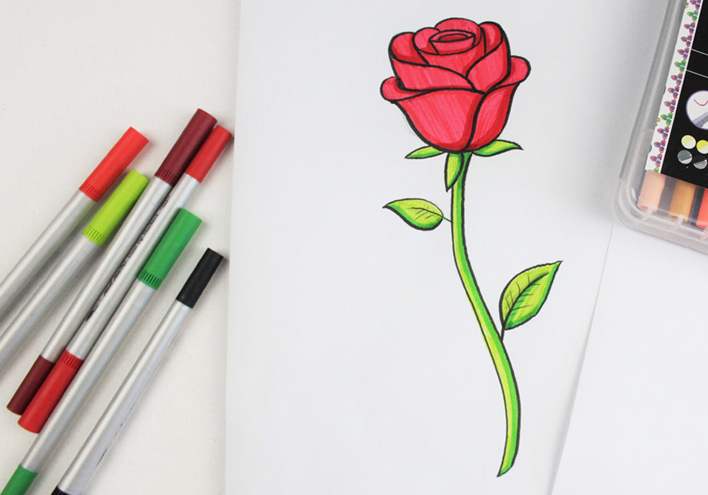 Rose drawing.