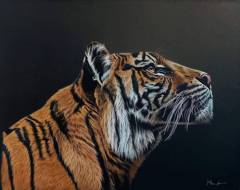 Realistic tiger painted side on in acrylic with a side profile shot.