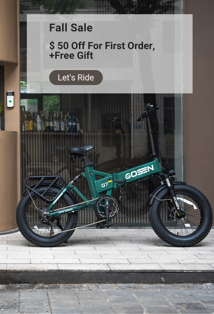 electric bike order