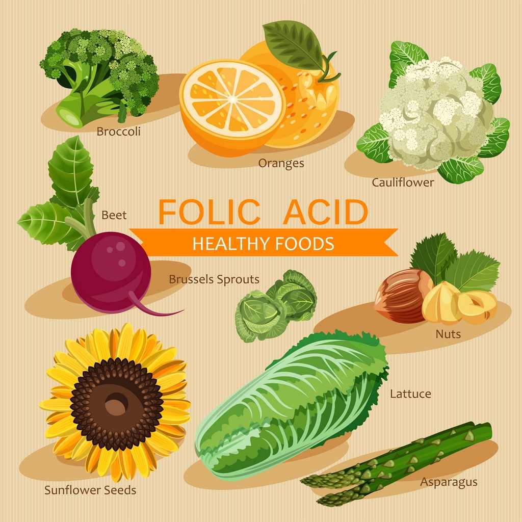 Folic Acid | 2nutri | New Zealand