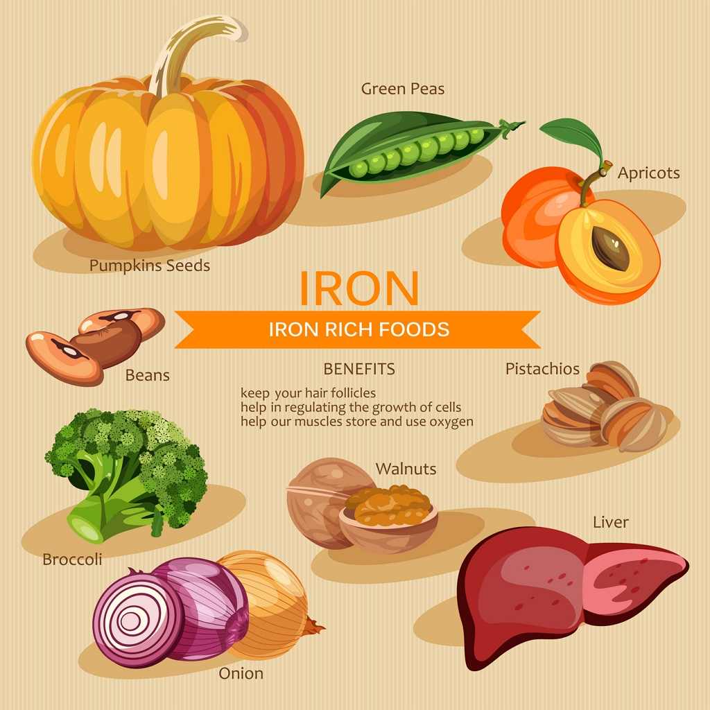 Iron | 2nutri | New Zealand