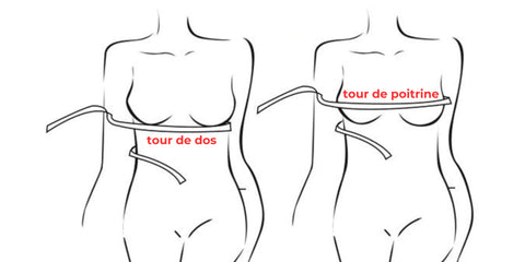 measure back and chest circumference