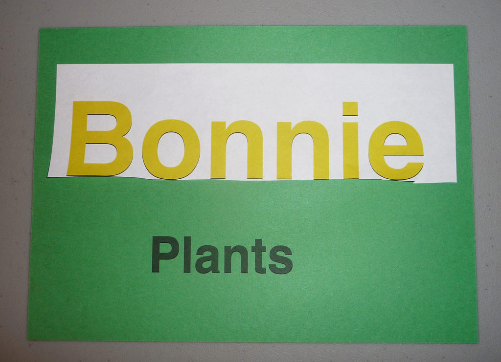 homemade Bonnie Plants sign