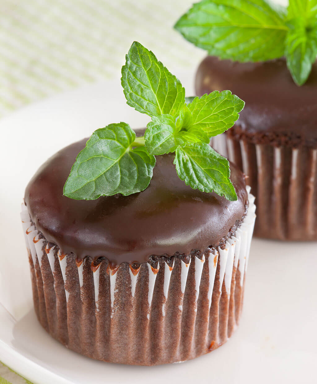 Chocolate Mint