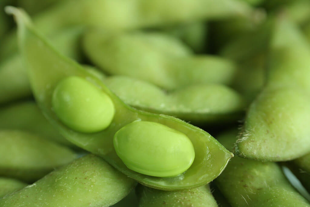 Two edamame beans in open pod.