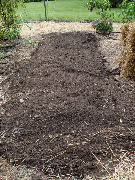 Bagged organic fertilizers were spread over this bed before the ground was worked for planting. Some of the nutrients in organic fertilizers dissolve in water quickly, while others undergo a biological conversion in warm and moist soil that is teeming with microbes. Thoroughly mix them in before planting so plant roots won't run into hot pockets of biological activity.