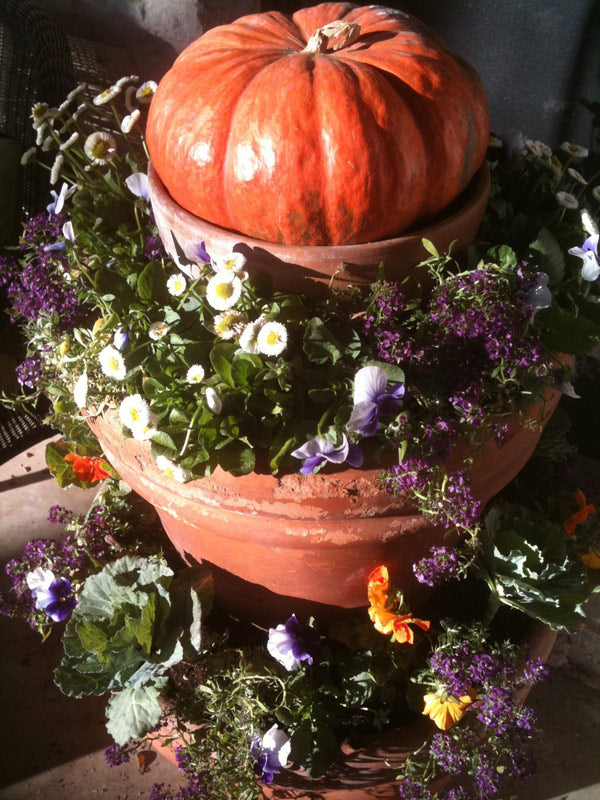 Large orange pumpkin atop a planting pot.