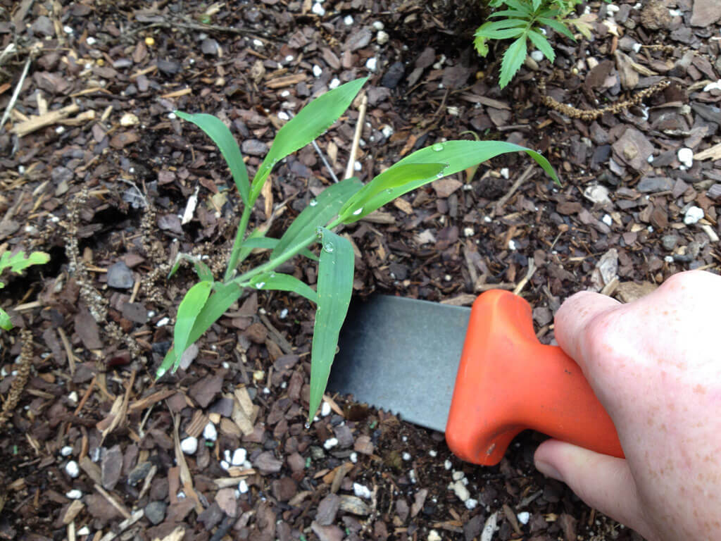 Choose a soil knife with a stainless steel blade (it's less heavy than other materials), and be sure to keep the edge sharp.