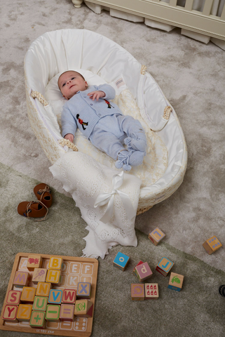 experts guide how to choose your babys moses basket