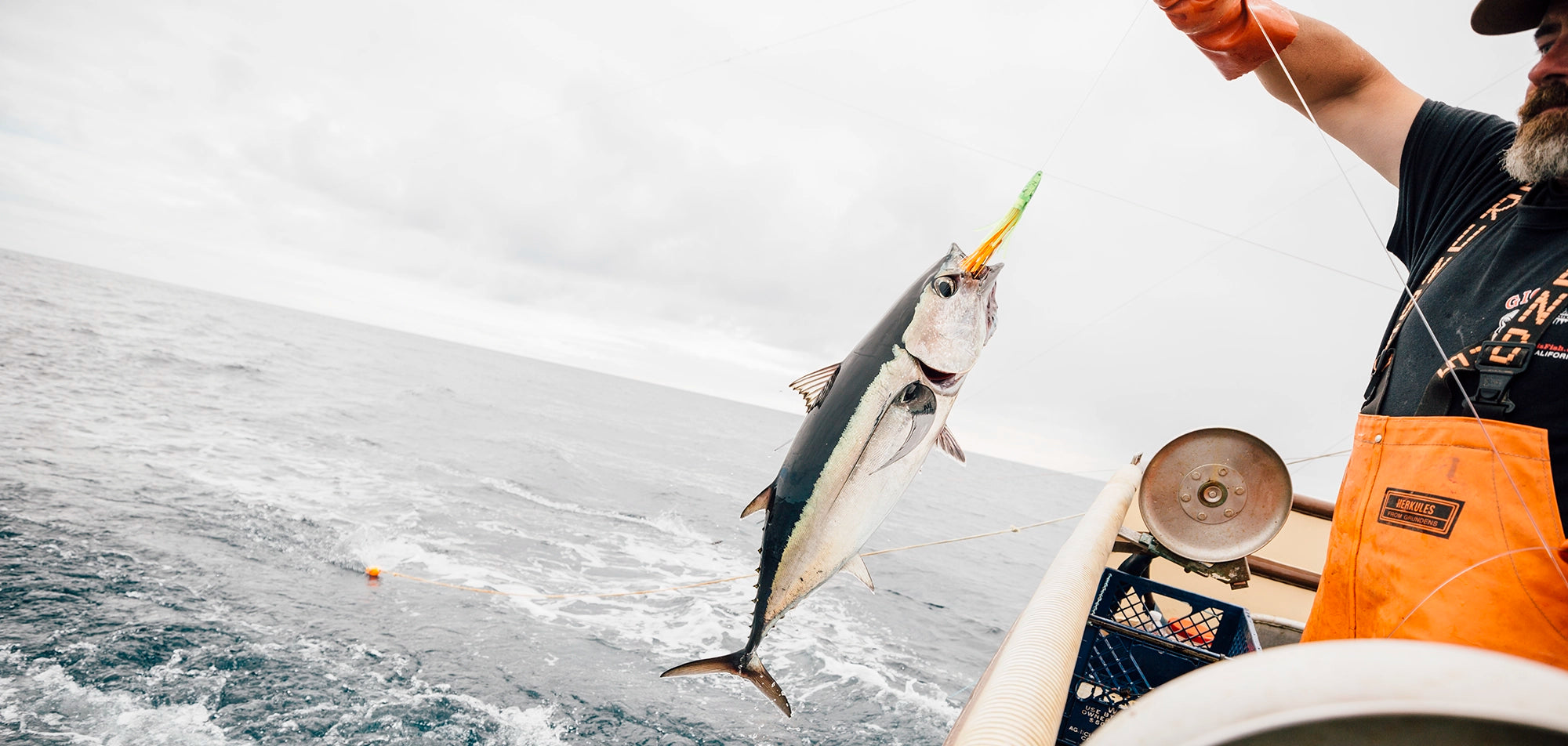 Safe Catch Tuna is a startup on a mission to eradicate the risk of mercury  poisoning from your fish