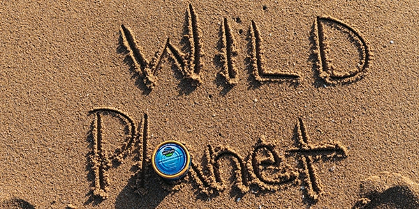 Wild Planet in sand