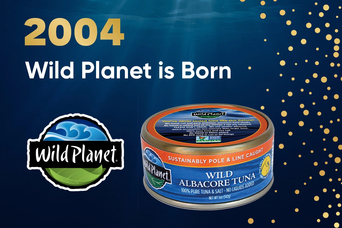 Wild Planet timeline 2004: Wild Planet is born